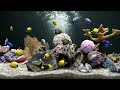 Fish tank aquarium in 4k  8 hours  no music just water sounds  focus and sleep