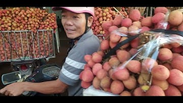 VẢI U HỒNG ĐẸP GIÁ 30k, HÀNG CHỢ GIÁ GIẢM NHIỀU I LYCHEE LUC NGAN I NÚI ĐỒI LỤC NGẠN