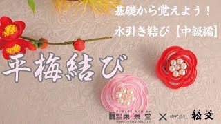 水引 平梅結び 結び方 Youtube