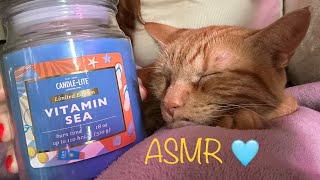 ASMR - Tapping on a tingly candle with my cat 🐈 Lofi with no talking