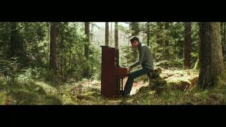 Vestard Shimkus - Forest Improvisation