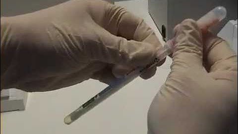 Hygiena Micro Snap Microbial Detection  Coliforms, E  coli, Total Aerobic Plate Count