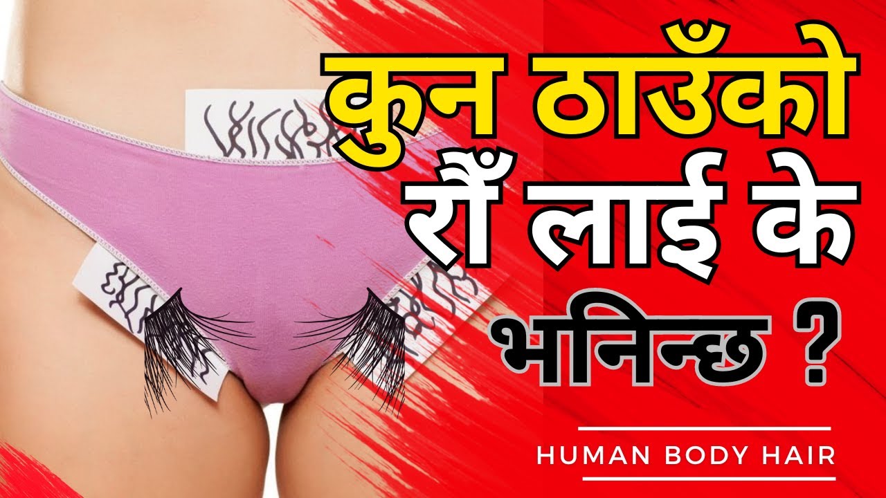 Hair Name In Our Body YouTube hair-name-in-our-body-youtube