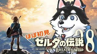 【はじめてのゼルダの伝説】＃28 コログどこどこどこどこ【BotW】