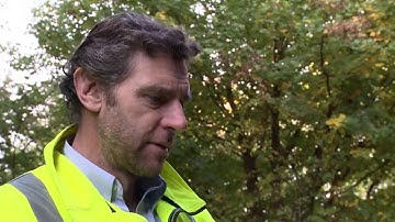 Parex Paraguard AG on Monorex GM Render System HD