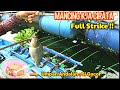 DIJAMIN PULANG BAWA IKAN PEMANCING TENGAH HARUS COBA RACIKAN UMPAN INI Mancing Cirata Terbaru 