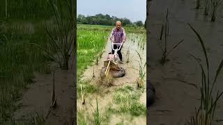 The Beauty Of Agriculture Is All About Creating Activities #satisfying#farming #agriculture