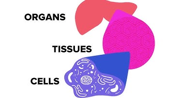 The Future of Toxicology (in Japanese)