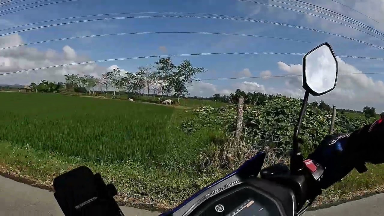 Chest holder record footage gamit Alston A12 Pro #actioncamera #sniper155