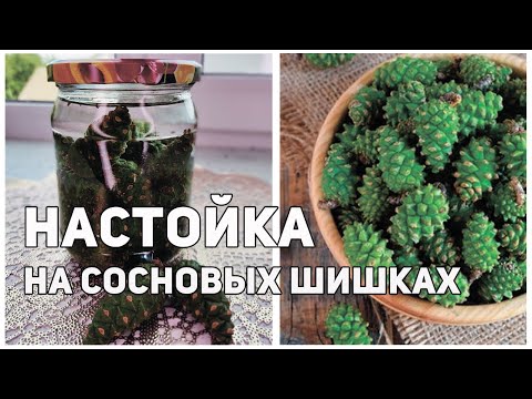 НАСТОЙКА на сосновых шишках #Shorts