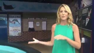 Famous Guerin Austin Vlog: Visiting The Rays Touch Tank In Tampa Bay Wealth