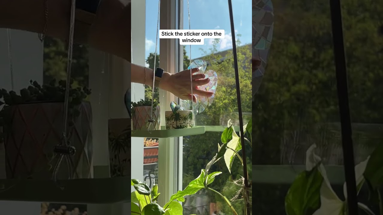 How to stick on a rainbow suncatcher window sticker | Seedor - plant aesthetic store