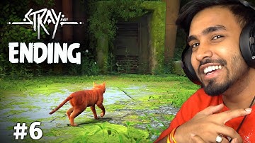 THE END | STRAY GAMEPLAY #6