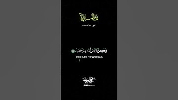 سعد الغامدي | سورة النساء | كروما قران كريم | شاشة سوداء | #كروما_شاشة_سوداء