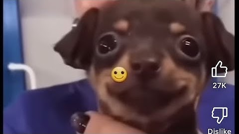 Thank you to all the talented people who made these mods.😁😁😁😁.