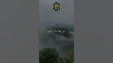 ❤️ أَرَضِيتُم بِالْحَيَاة الدُّنْيَا مِنَ الْآخِرَةِ ۚ # تلاوة خاشعة بصوت #ماهر المعيقلي #اكسبلور فو