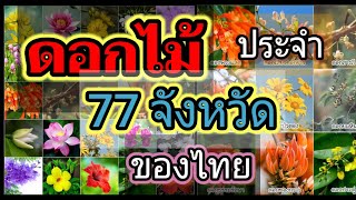 ดอกไม้ สัญลักษณ์ประจำ 77 จังหวัด ของประเทศไทยมีดอกอะไรบ้าง? screenshot 1