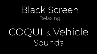10h COQUI by the Road Sounds | Black Screen | Relaxing Nature White Noise from Hawaii