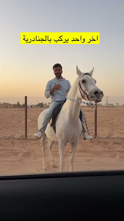اخر ركوب خيل في اسطبلات الجنادرية  #زاله_اسطبلات_الجنادريه #اسطبلات_الجنادريه #اكسبلور