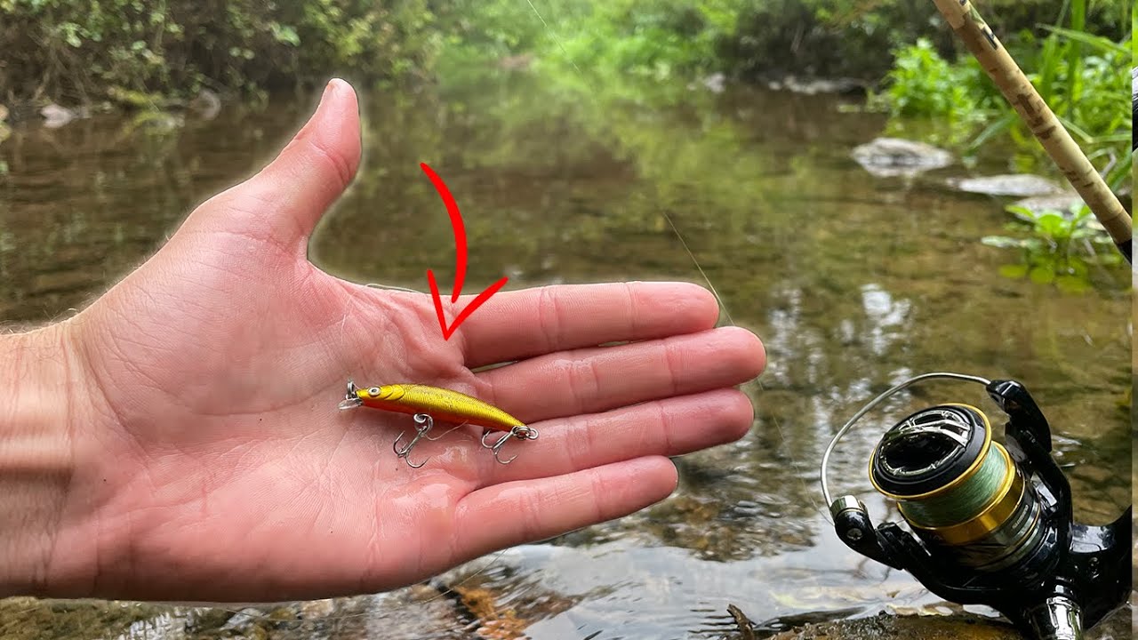 #1 Jerkbait for Catching TONS of Trout (Summer Small Stream Send) 