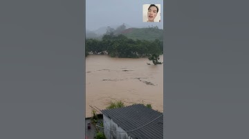 SAU BÃO YAGI MIỀN BẮC LŨ LỤT nhìn hình ảnh bão lũ thế này Duy không kìm được nước mắt #shorts