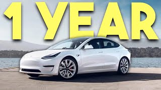 Tesla Model 3 One Year Later - WATCH BEFORE YOU BUY!!