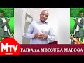 Faida Ya Mbegu Za Maboga