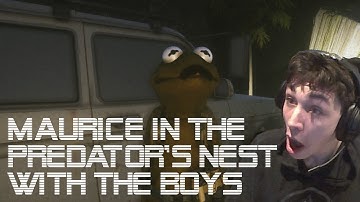 MAURICE IN THE PREDATOR