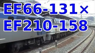 【貨物】EF210桃太郎×EF66重連コンテナ貨物 W-Electric Locomotives JR freight train in KYOTO Japan