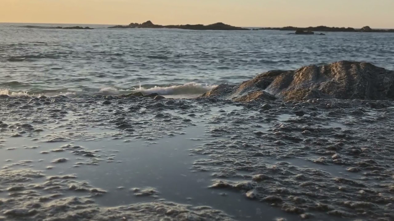 Assassination is the extreme form of censorship   DLVMusic Room Soft Piano Beautiful Morning