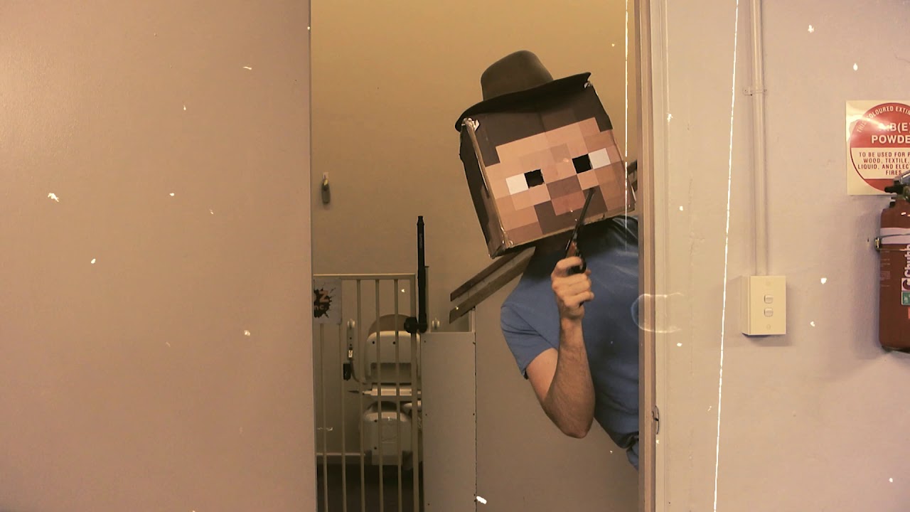 Introduction to Minecraft Steve - YouTube