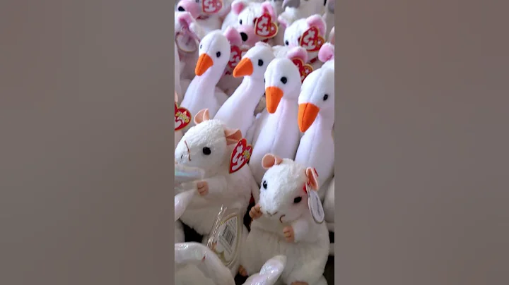 WORLD RECORD BEANIE BABY COLLECTION! 😲 (6800+) #deaf #asl #worldrecord #beanieboos #beaniebabies