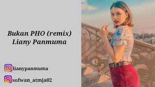 Bukan PHO| De Yang Gatal-Gatal Sa Liany Panmuma Ft Aldo BZ(official lirik video)