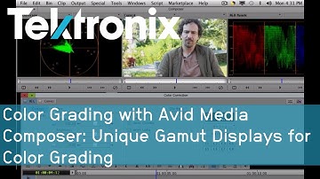 Color Grading with Avid Media Composer: Unique Gamut Displays for Color Grading