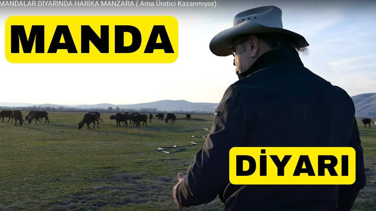 MANDALAR DİYARINDA HARİKA MANZARA ( Ama Üretici Kazanmıyor)