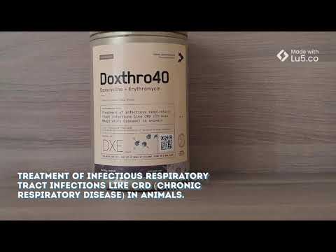 Video: Tylosin 50, 200 For Cats: Instructions For The Use Of An Antibiotic In Veterinary Medicine, Dosage, Reviews And Analogues
