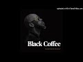 Black Coffee - You Need Me Feat. Sun-El Musician & Maxine Ashley