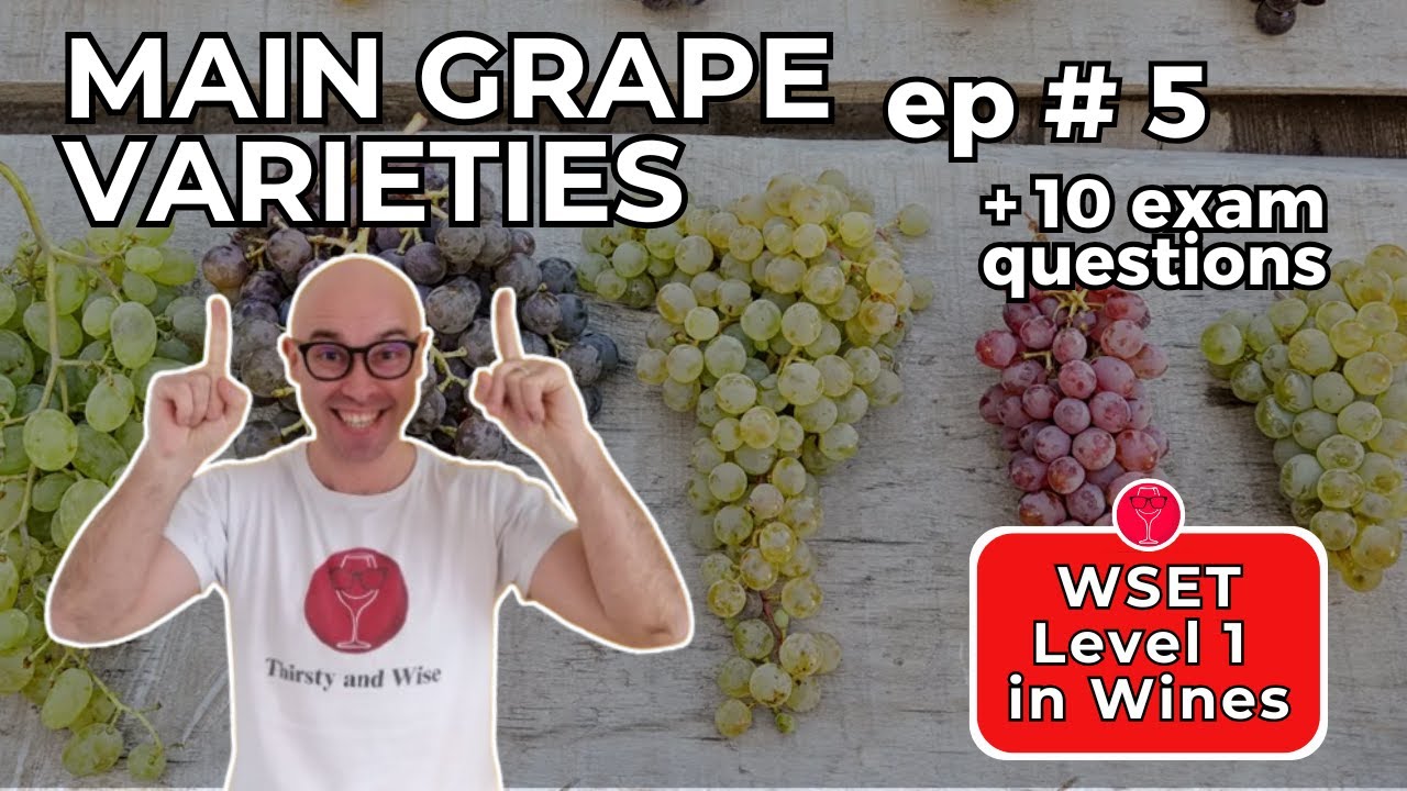 Main White & Red Grape Varieties 🍇 WSET Level 1 in Wines: Episode #5