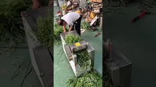 Efficient Industrial Vegetable and Forage Chopping Process