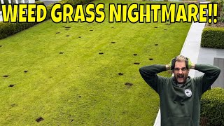 I'm getting SHUT of WEED grasses // Annual Meadow Grass Nightmare