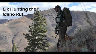 Elk Hunting's Mr. August Hunts the Idaho Rut