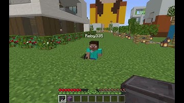 Minecraft 1.16.5 Glitches (Duplicate any item )