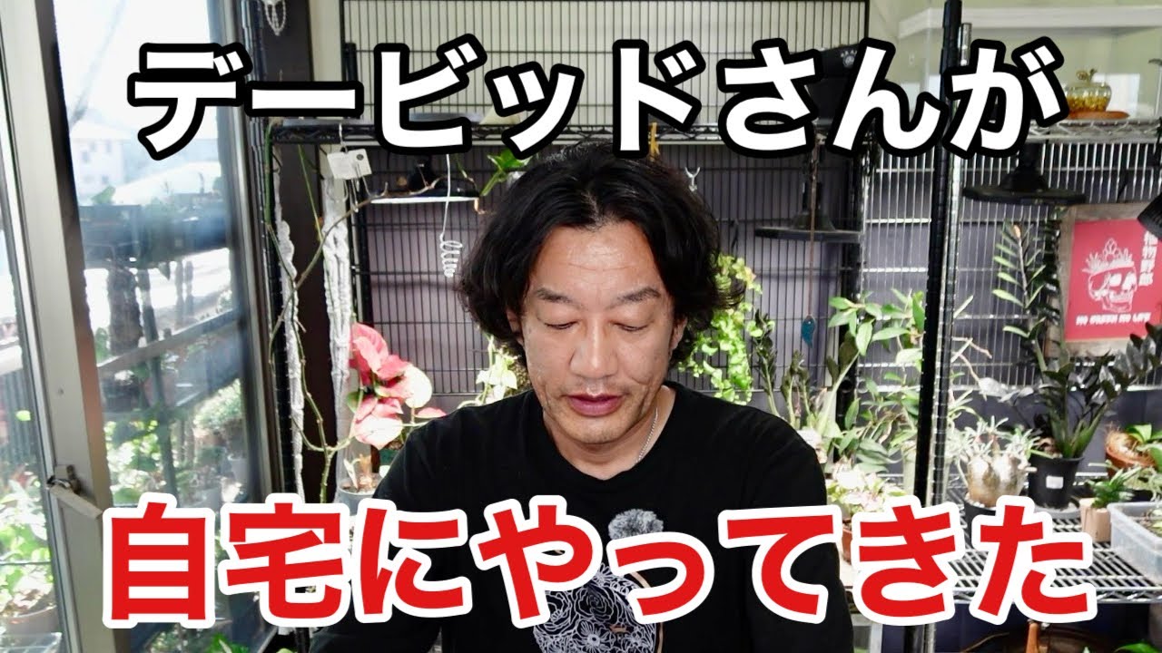 David came to our house from Kagoshima with his daughter