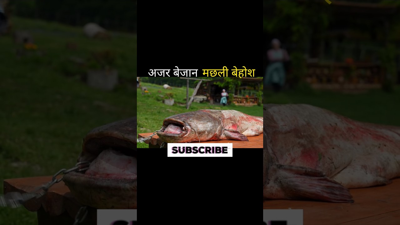 अजर बेजान मछली बेहोश 😱 #shortvideo #fishing #aivideo #shortsfeed #facts #youtubeshorts #ai