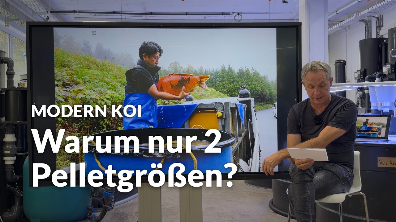Welche Pelletgröße brauchen deine Koi wirklich? | Modern Koi Blog #8326
