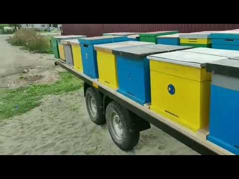 Прицепы для перевозки пчелиных ульев своими руками