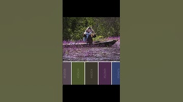 Thumbnail of Crochet Color Palette Inspiration!