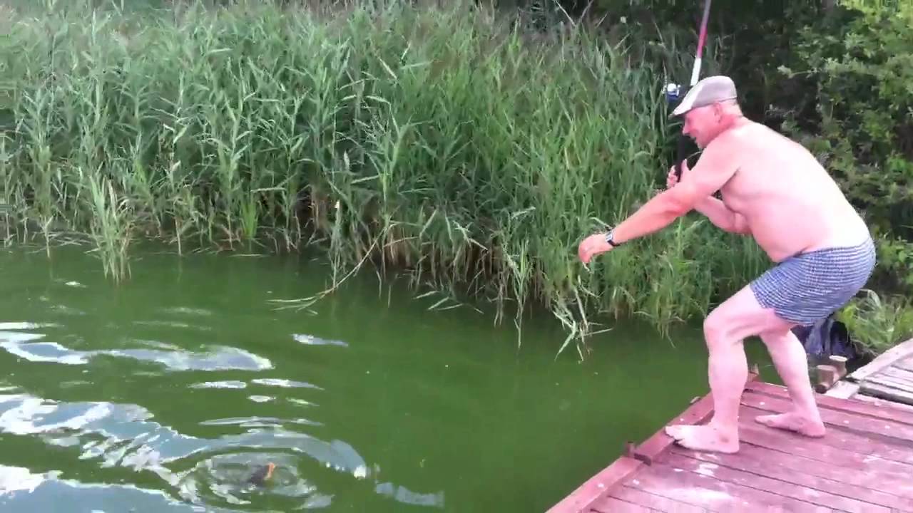 ловящая зеркальных карпов видео ловящая зеркальных карпов видео