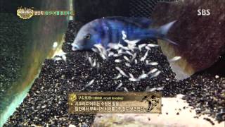 [정글의법칙] 131108 #4(9)