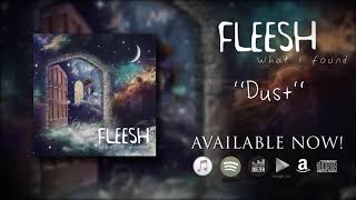 Fleesh - Dust (taken from the album "What I Found")